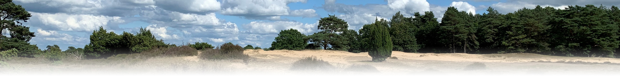 header-landschap-drenthe-2